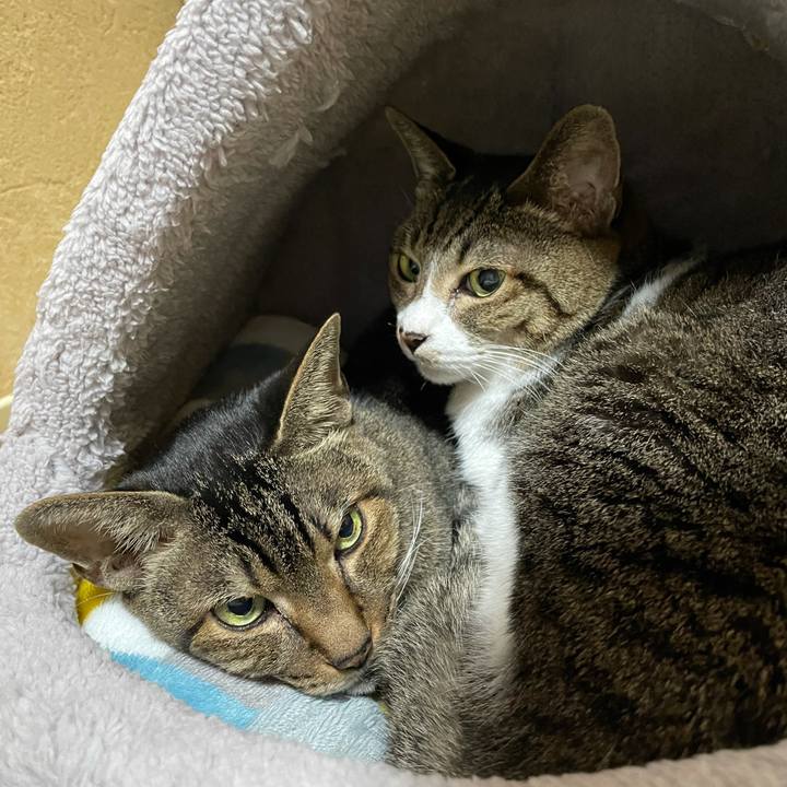 3df18a74 3f28 4e52 b32c 456794e31d19 1607911089385