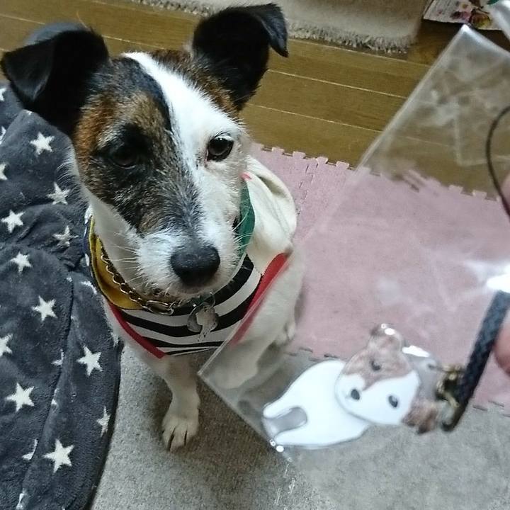 3df18aff f9ee 4c68 b8b0 be0368960f5f 1555914958379