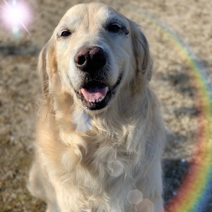 3df19135 8063 4a53 ac03 20068bfcb47f 1629246808911