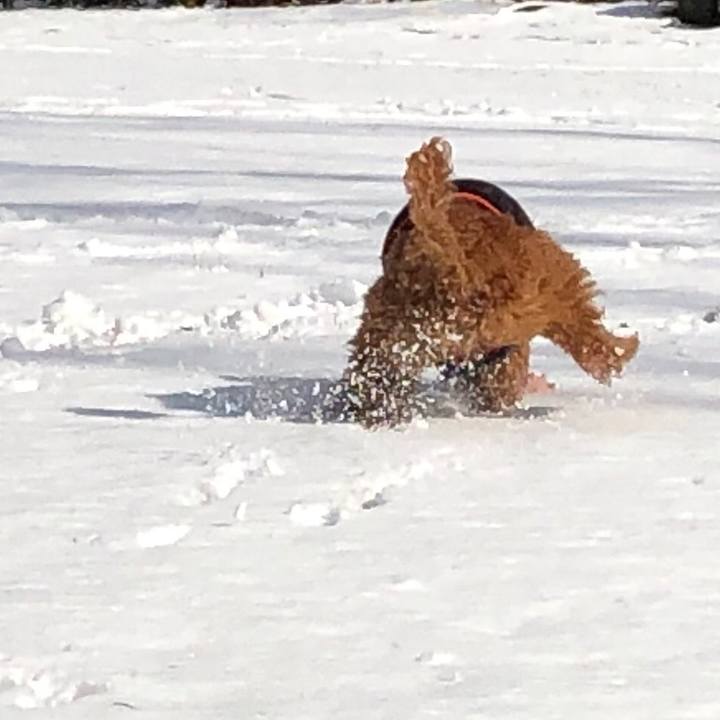 3df1a24e 31d7 4cec 9f1f a9f585457ce4 1581386701345