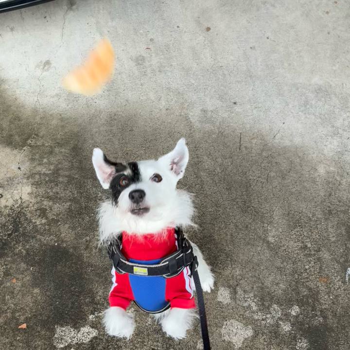 3df1a426 5b02 4ae1 b380 98f87b77a846 1761520918368