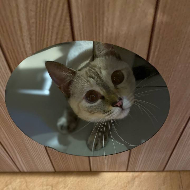 3df1cacb 0cfc 4fc4 9f79 2575117525ac 1663061966413