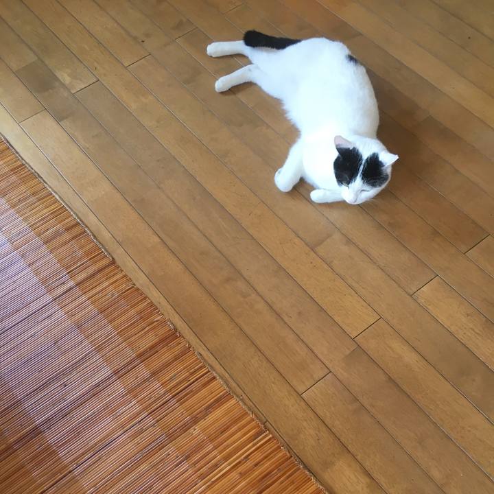 3df216b2 6ad6 4958 be64 1995e9796de4 1529886114472