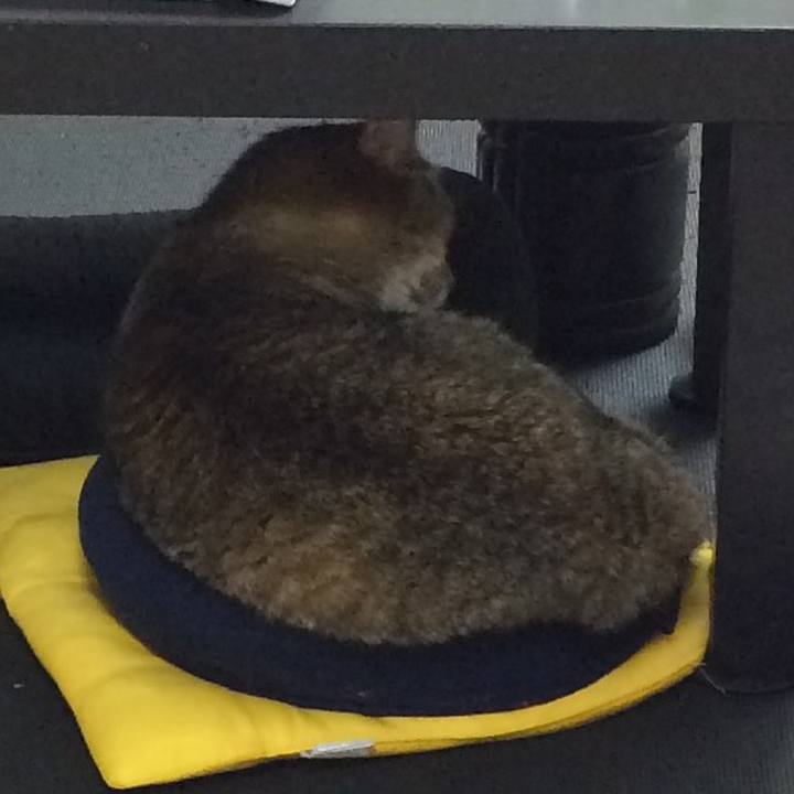 3df265fa 8fa6 4a8c 8060 727fbbaf0ae1 1537311133131