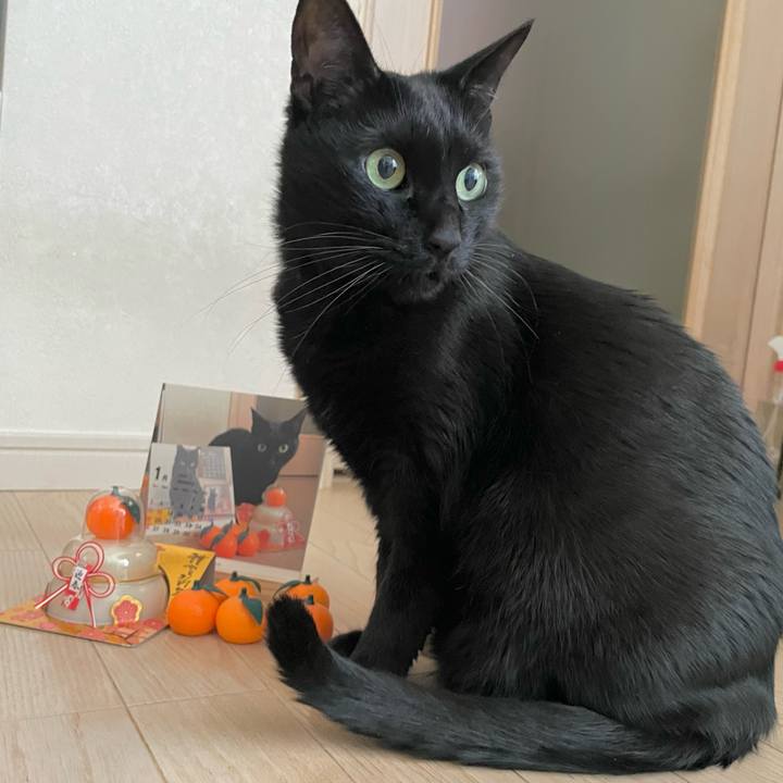 3df26b75 e5c4 4b19 a986 07955fdc8b9b 1735707613557