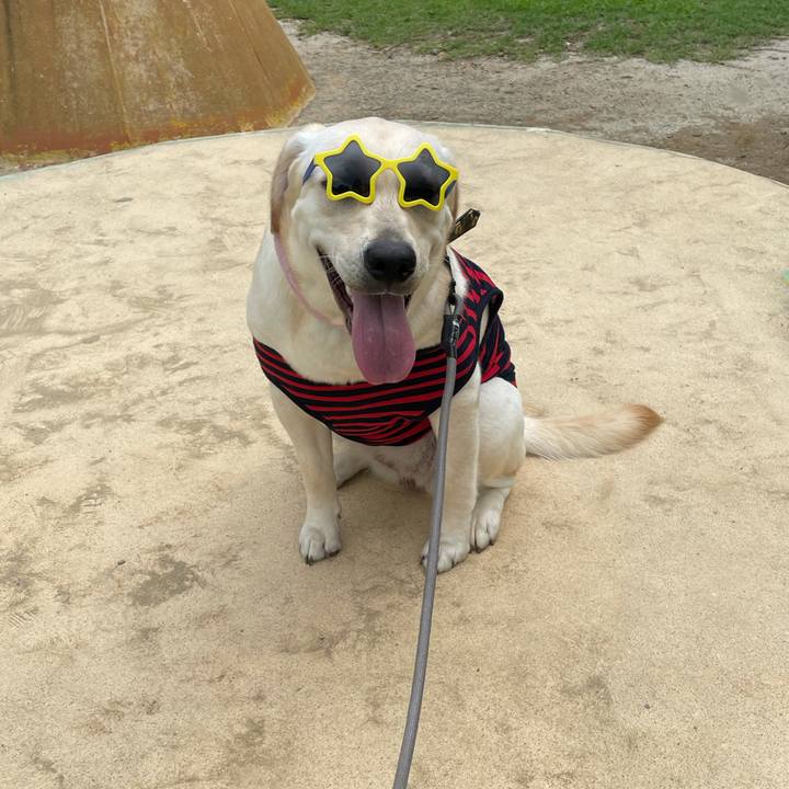 3df32d92 2964 455c 8fef 0ee1b63c6169 1631369451572