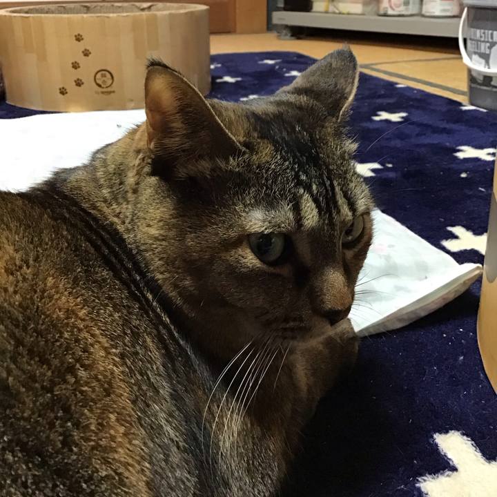 3df32eb2 59b8 4246 8053 6ca68c35277c 1735859603339