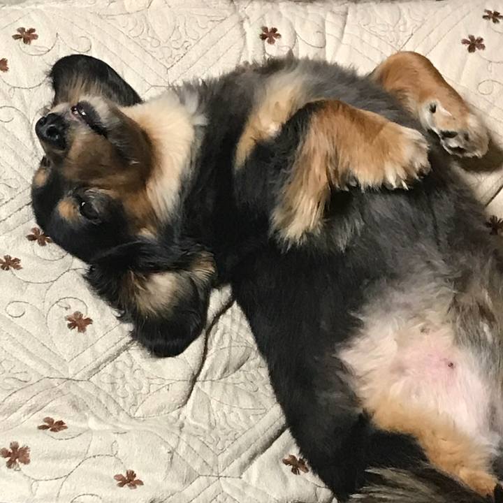 3df362af 52dd 4a4a bca1 72176e4fd744 1521150658671