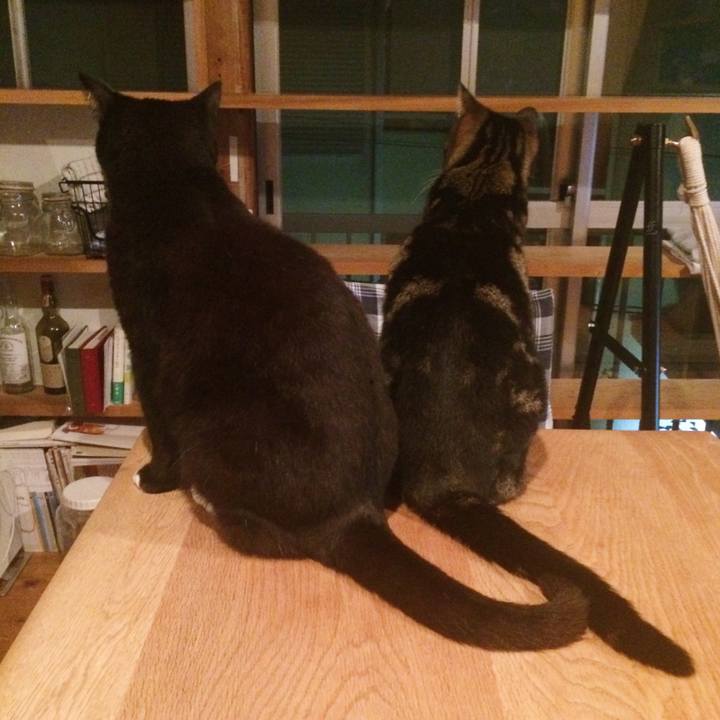 3df378db 1dc2 4d18 a0c8 020199ca11f5 1524741388933