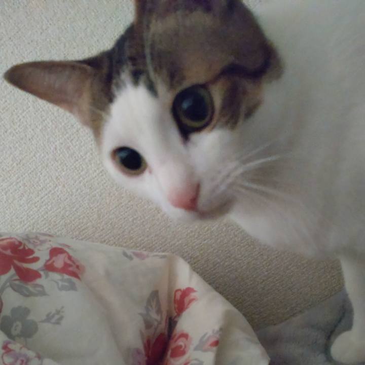 3df39b46 8d3d 4a8d 9d16 dbbd908b9e9e 1679265820364