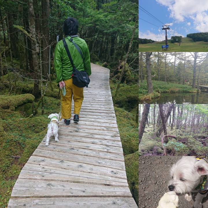 3df39fd4 241f 4f69 b0b4 0a8eea46da1d 1600734394710