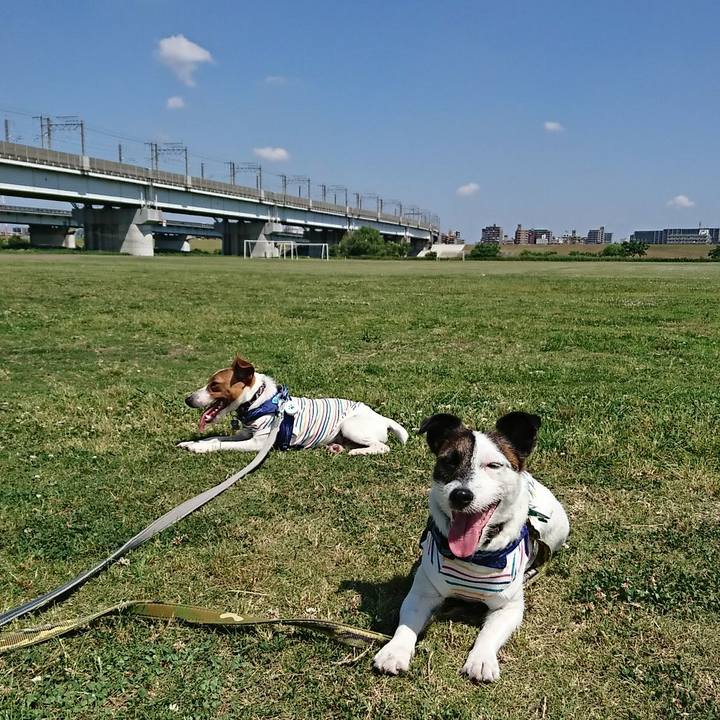 3df3ae1e 126f 45a9 ab21 606962be08d0 1527986173462