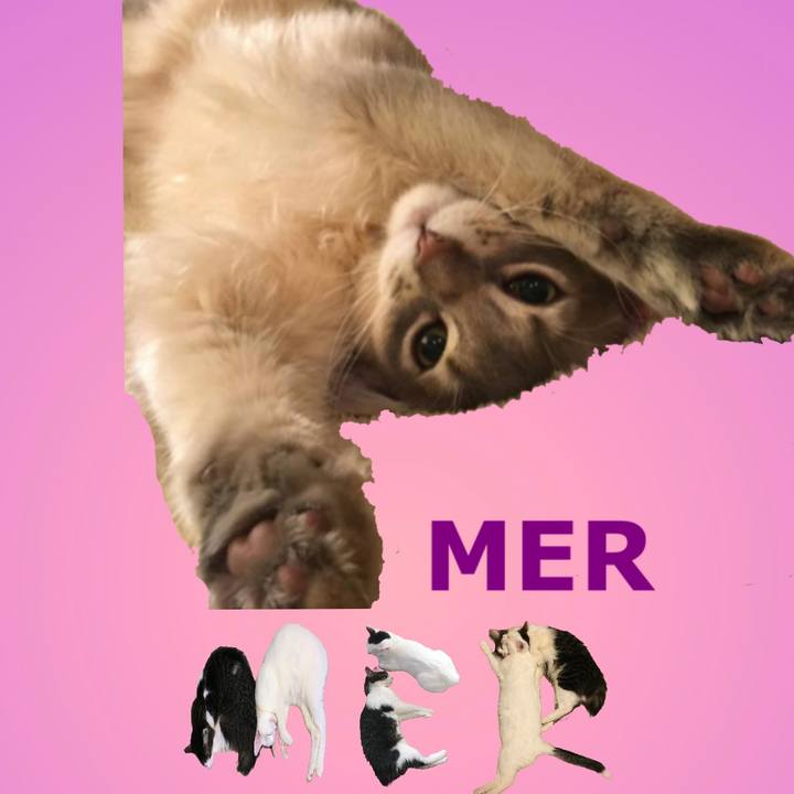 3df3b75f af26 40a8 919e 0d8464a4fce5 1667954925935