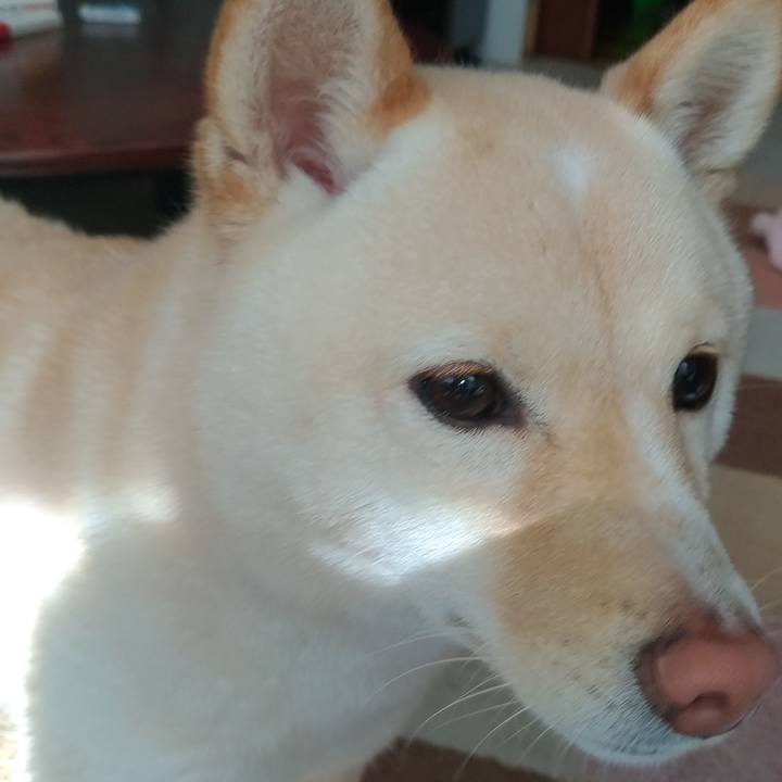 3df3b8e3 7a59 4d94 81e9 715d9cab0992 1552787457075