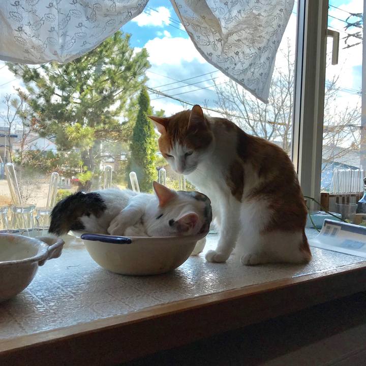 3df3c868 7662 4fbb b83e 3fdbbfc5a223 1556922803166