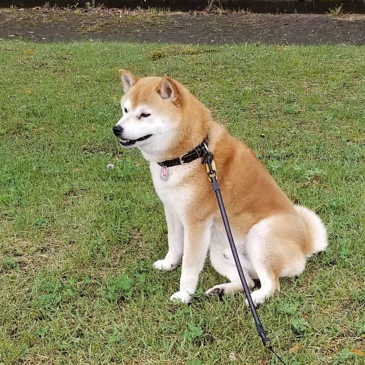 3df3e5ec 68a3 47cc b0ff 943b472a54ff 1592033815644