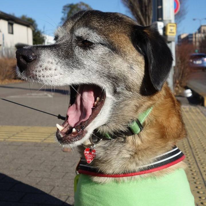 3df417d2 2873 40ac 8960 9ecf9365f435 1515807474076