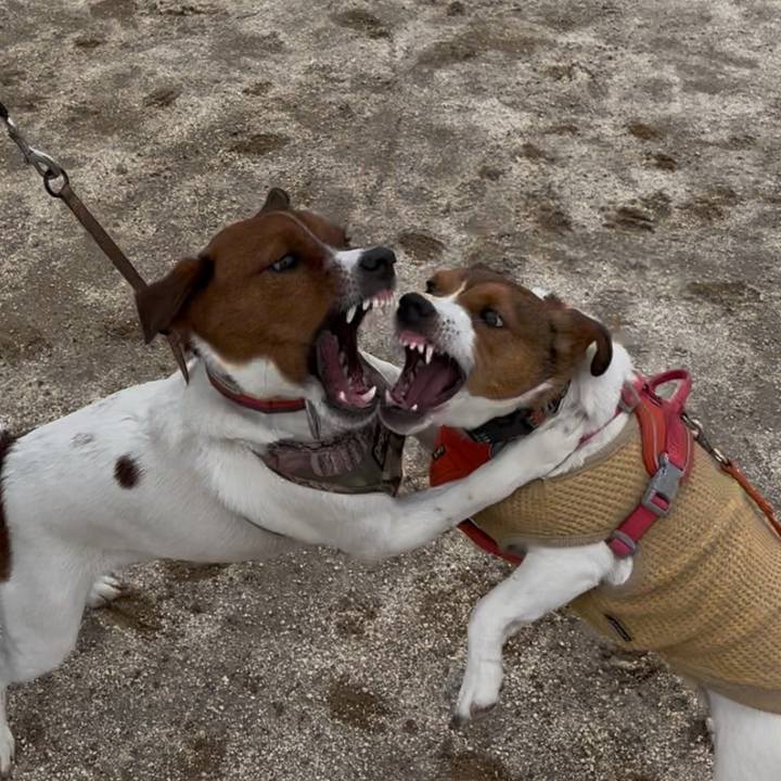 3df42c86 d4c8 40cb a4ef c000c32ad3a6 1745677980928