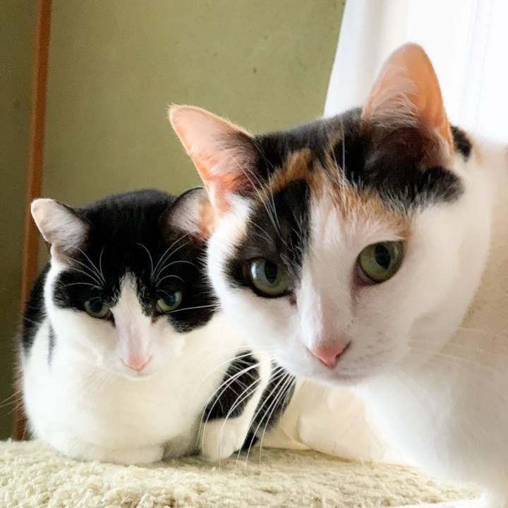 3df45bf5 b1ae 4fdb 93a6 bb21b53e79b1 1582333825708