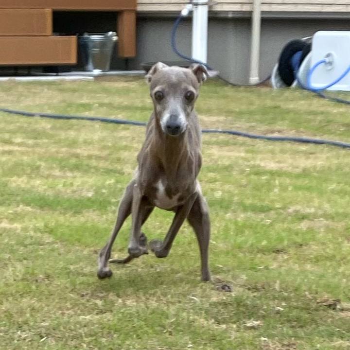 3df47893 2739 4899 842a dc99ac3e0b3f 1758326667478