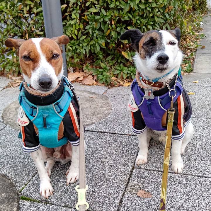 3df4ac55 df8b 4b42 8465 cbc8d6c95ab9 1639087833226