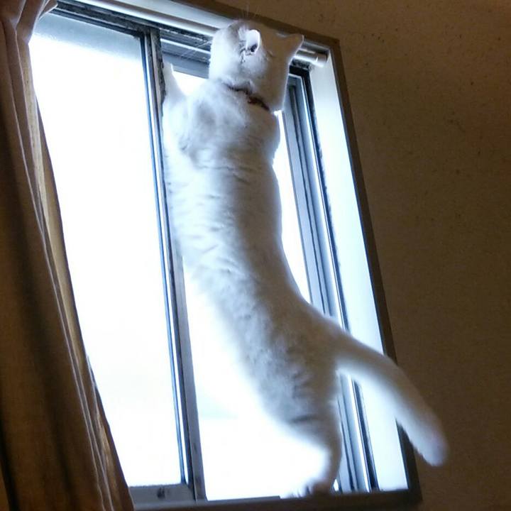 3df4c21e 560c 4565 8e34 2d1b7c94c172 1512291679185