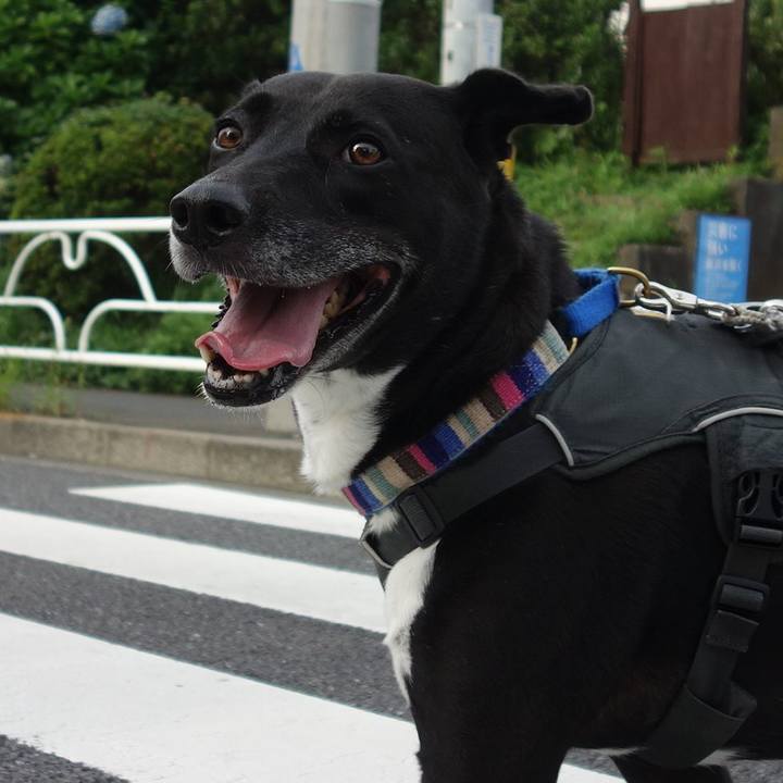 3df4dba6 32e5 4d4e a204 76db76f6c4dd 1658102151179