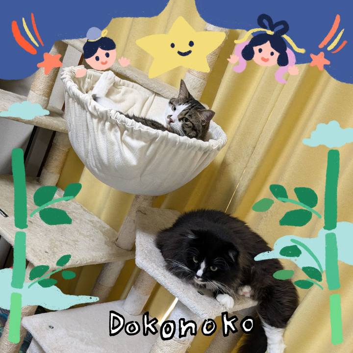 3df4dd08 967c 423d ad97 0f31e9bcda50 1720851284367