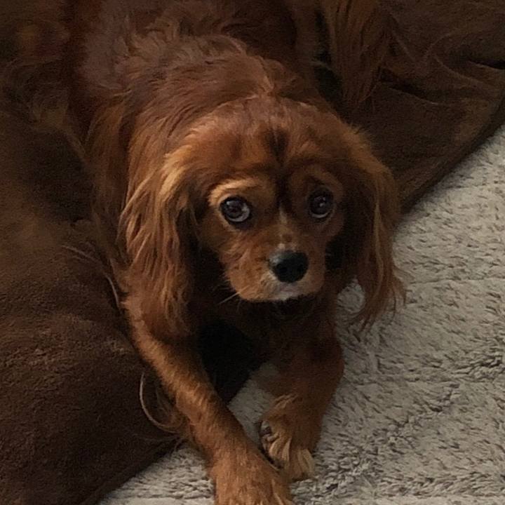 3df4dd26 757a 42e7 a194 debfcebebf76 1583964389443