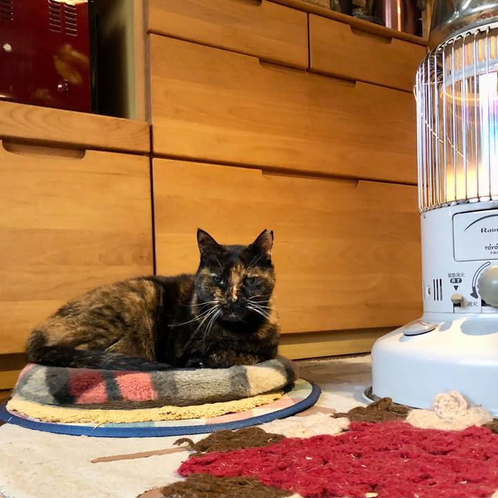 3df50dbc cec2 4f45 ad4c 48780d74a741 1706745896224