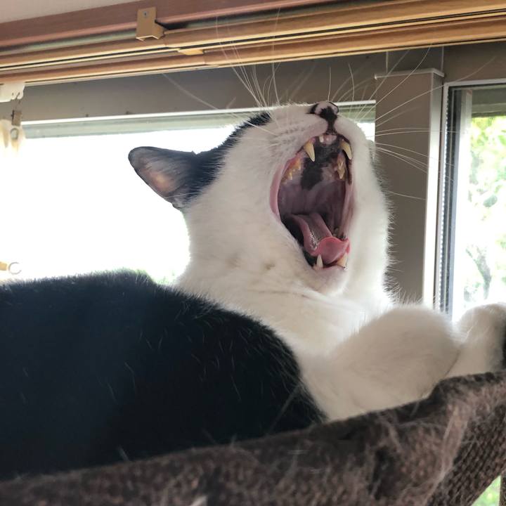 3df516d8 5e95 4eda acd6 e6bdf9b9b65a 1567128687088