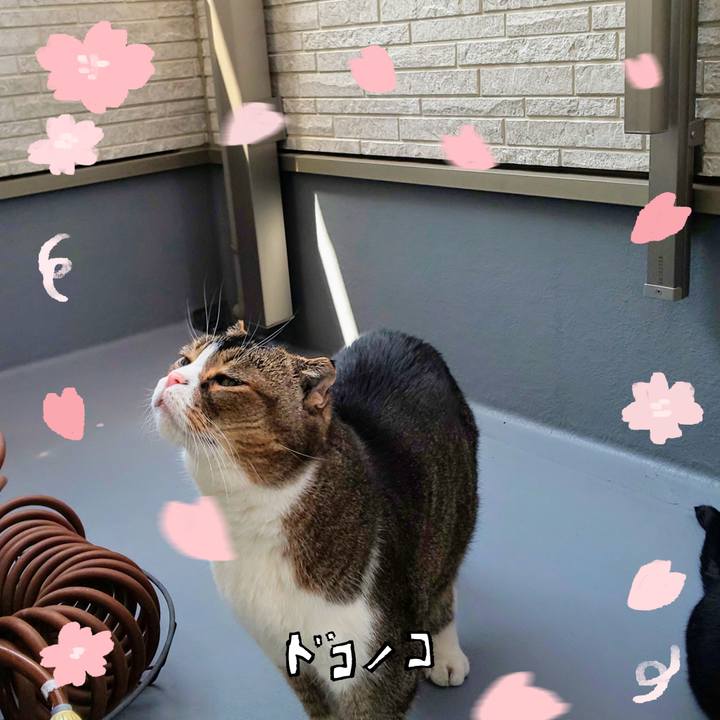 3df533a9 74a0 445f b4e7 e02f995fee58 1744594151425