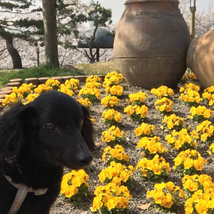 3df58909 1034 4707 b3a3 b6d2d87298ae 1522115387078