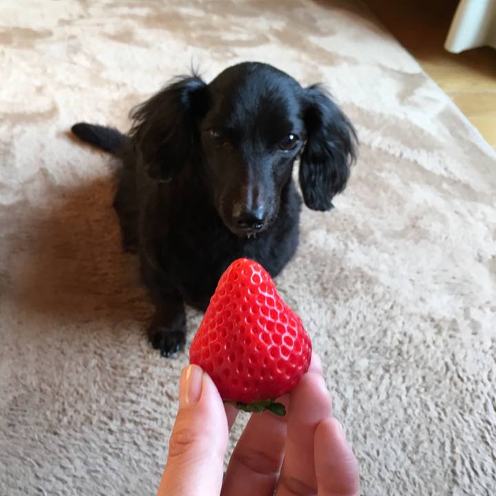 3df5a184 b20b 493a 8529 e7a017512156 1522274566736