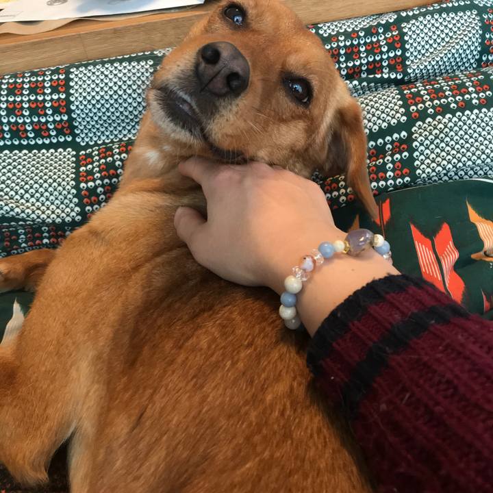 3df5af42 9276 4538 9e4a 6b62d1cdf2df 1519606102987