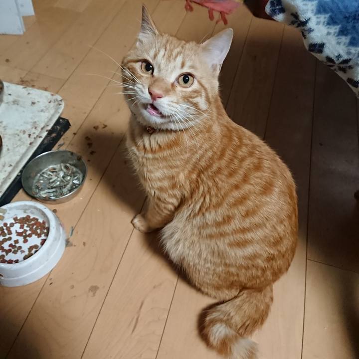 3df5e43e 6c51 4fa8 a4b3 230b71c51aba 1646081801169