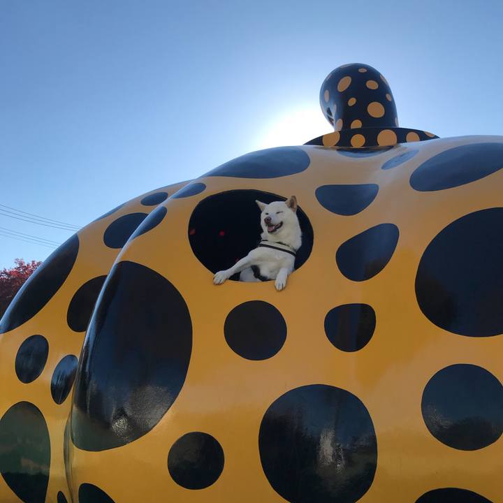 3df5f8f5 02b7 4d1b a60b 6038d1c6aaad 1541229834986