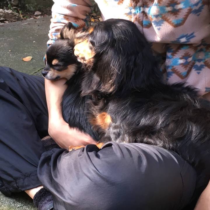 3df64d16 1406 4a34 9d87 b917ccee9c17 1542186221543