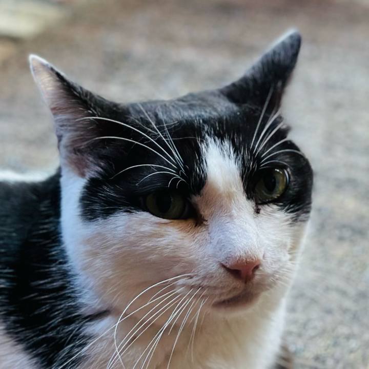 3df65328 d872 4384 905f bb57dbe374b7 1724717499337