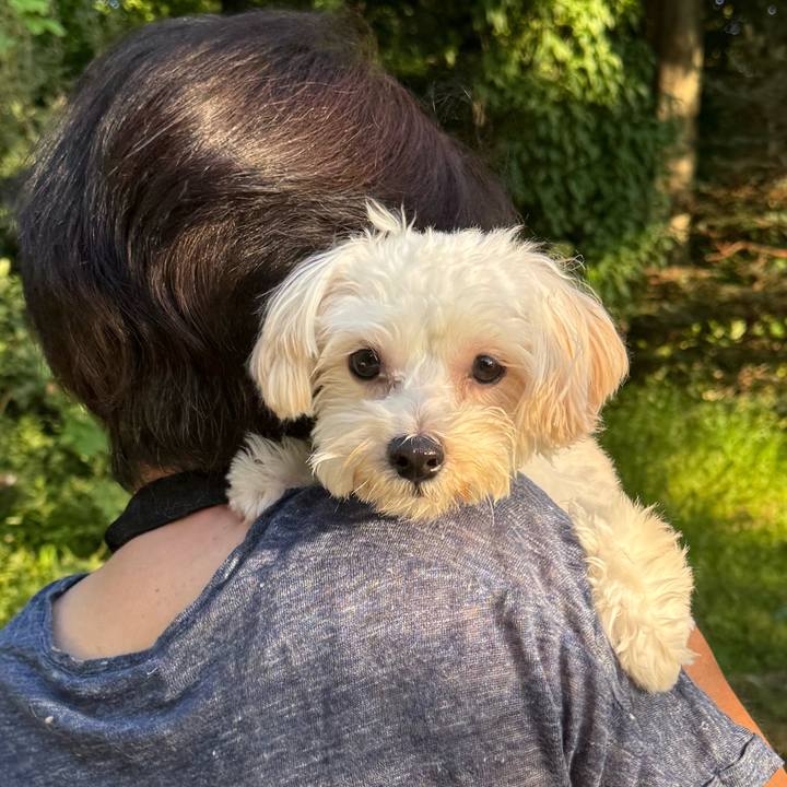 3df68035 d8cf 4374 983b 666432f08717 1756508535224