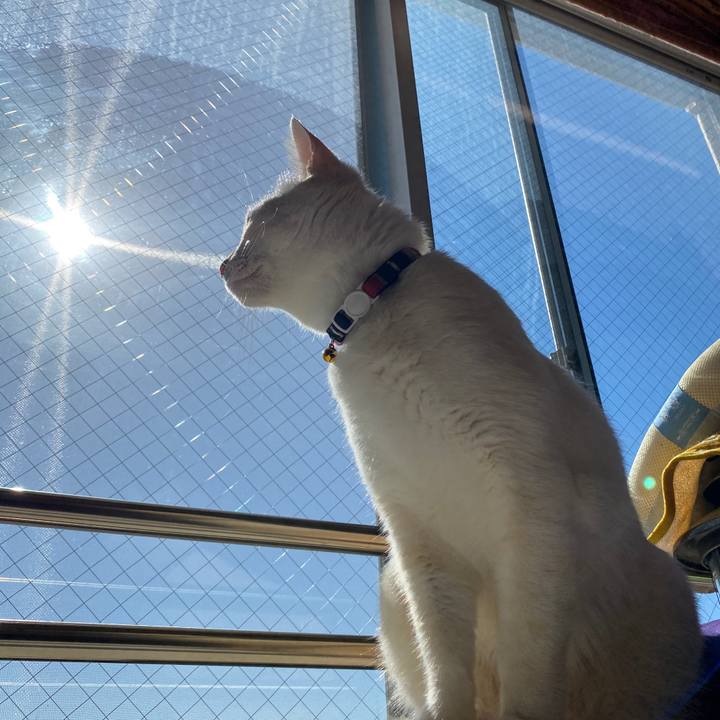 3df68f75 d869 4999 8afc d87f03df20cc 1636258519930