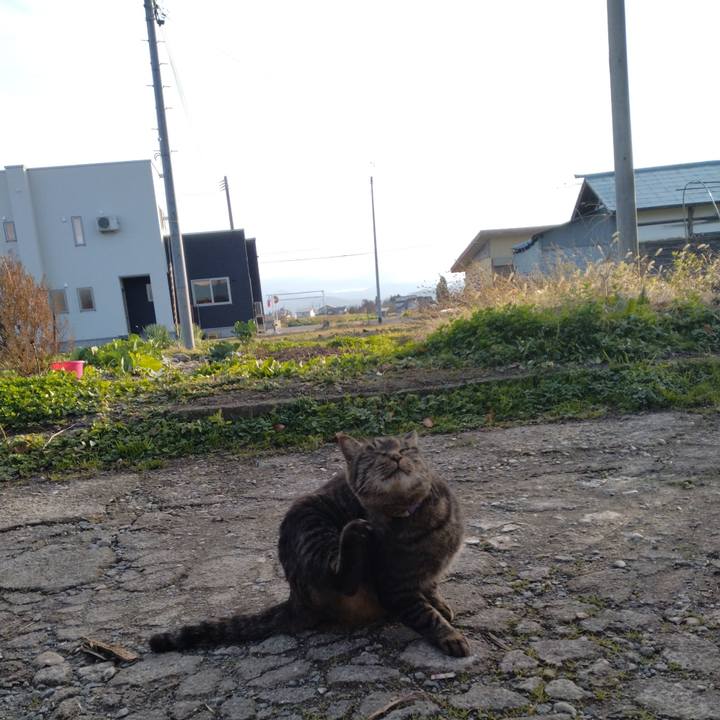 3df69783 c1c4 4670 bb71 7baf9fb0932e 1669098263741