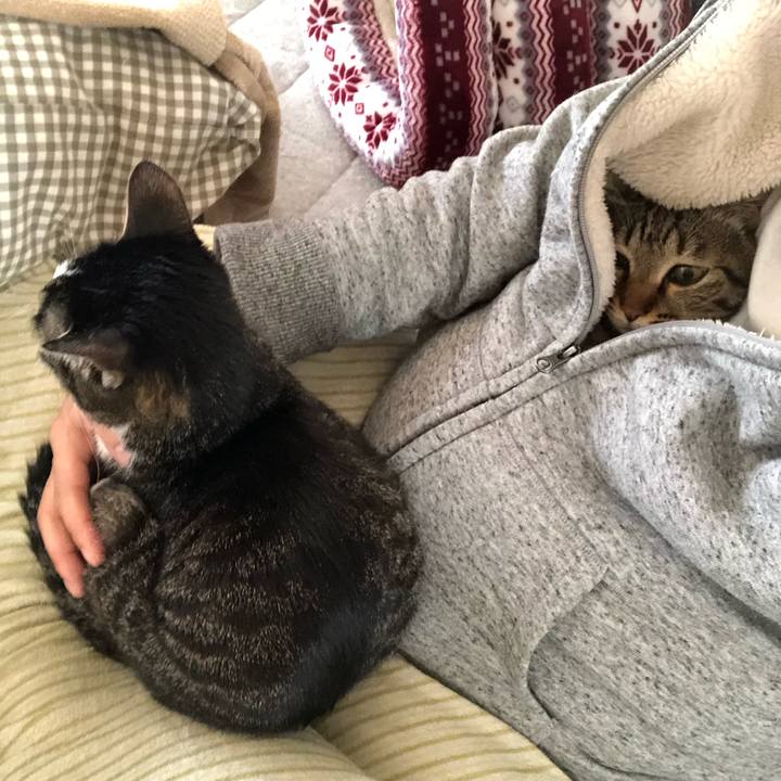 3df6aab4 3193 4834 b370 862d3b13fd70 1554665177115