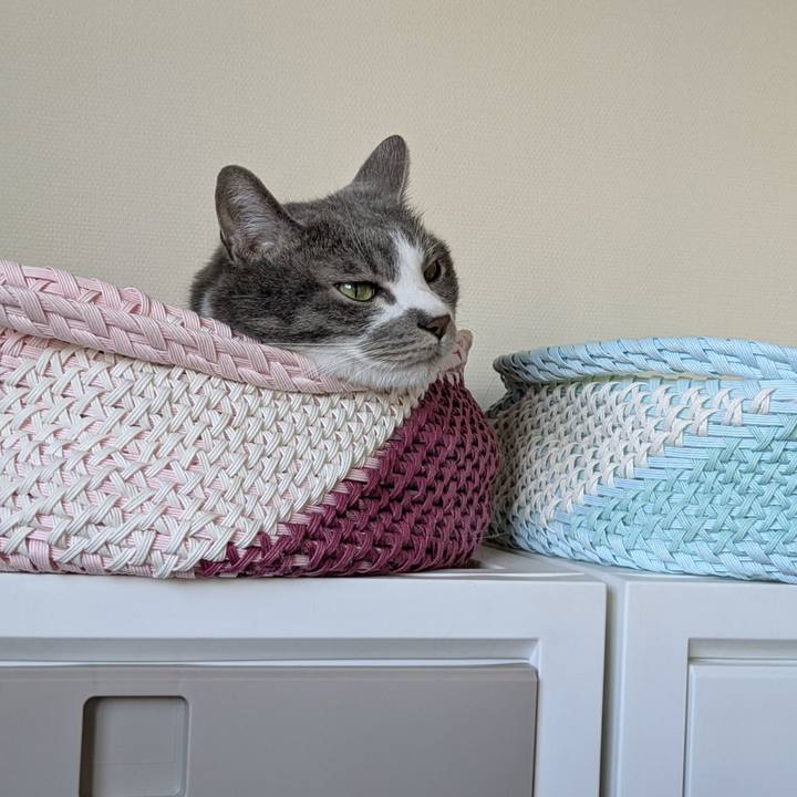 3df6e5cb ed9c 4b69 bfaf cb1aa356024e 1752801232956