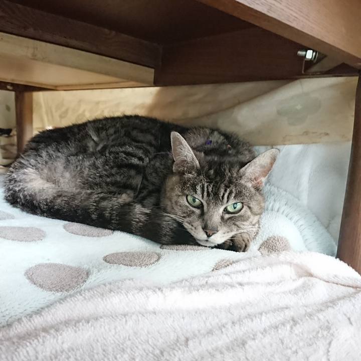 3df70846 fc5d 4b93 87b6 780baa0403f5 1582953076700