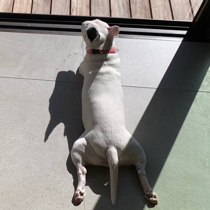 3df7102d ac18 46bc bc48 c166d8399538 1601787089175