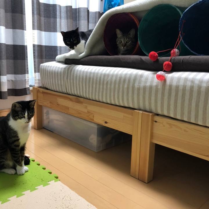 3df720c8 21db 48ae 912b 9f3dbe4091b4 1558527748757