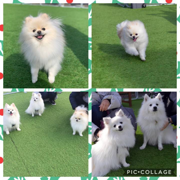 3df73b6f c0f3 4384 9787 79be64f1acc3 1576405550580