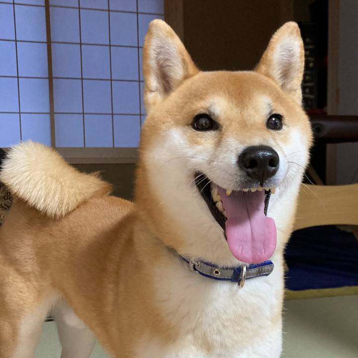 3df74c6b da3e 4a2b 9deb 6e91734e23b7 1676624998280