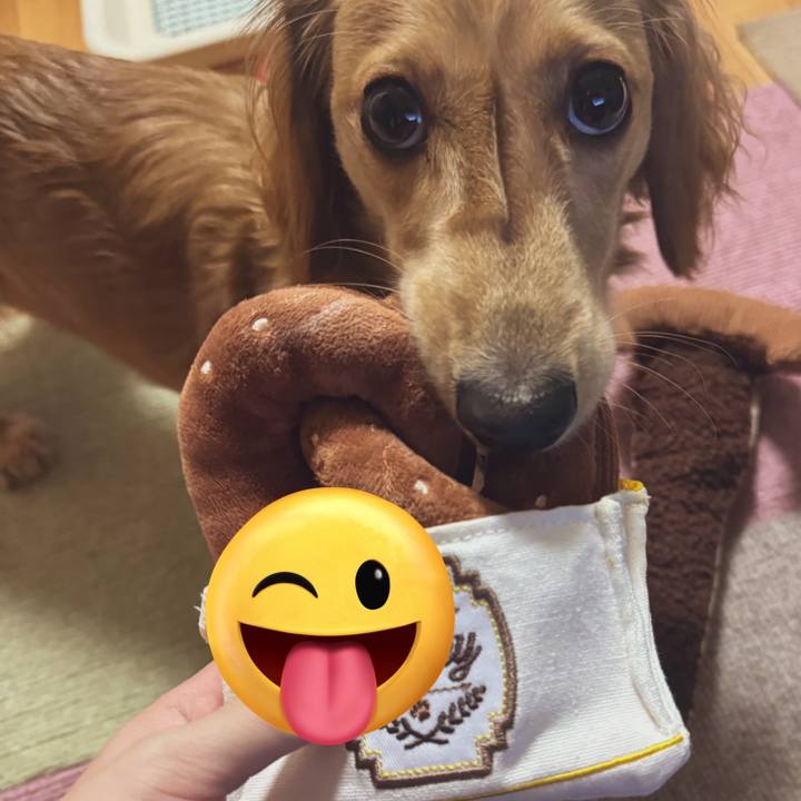 3df76637 736f 4209 83cb 0f5890711a61 1699023352147